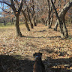 Meet your Posher, Eric l